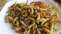  Ulat goreng jadi menu makanan yang paling digemari, saat perayaan natal bagi orang-orang yang tinggal di Afrika Selatan.  Foto: Istimewa