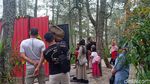 Foto: Di Gunung Lawu, Bisa Ketemu Dinosaurus di Hutan Pinus