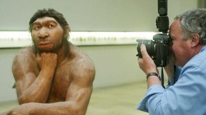 Patung model Neanderthal di Museum Halle, Jerman. (Sebastian Willnow/AFP/Getty Images)