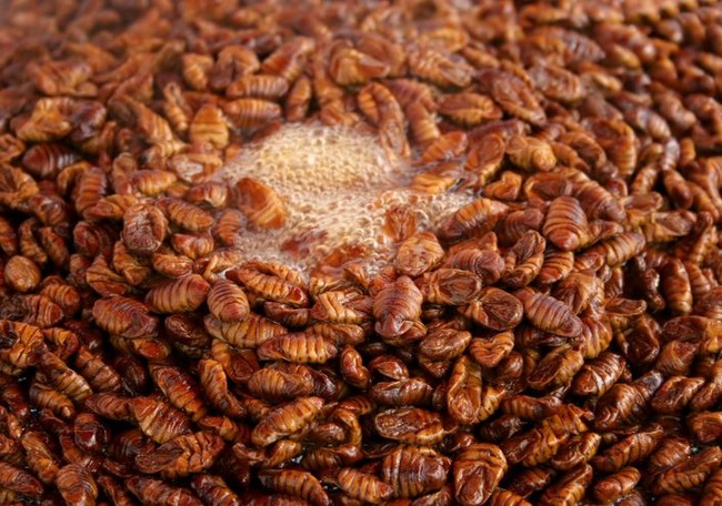 Berani Cicip? Ini 5 Makanan Ekstrem Korea yang Terkenal