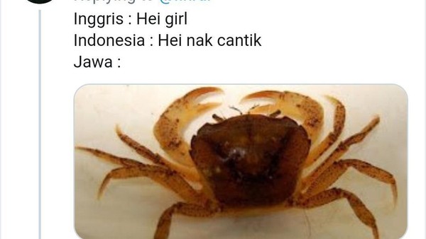 Kreatif dan Bikin Ngakak, Panggilan Dalam Bahasa Daerah Ini Bikin Geleng Kepala