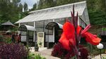 Foto: Agrowisata Dillem Wilis, Suasana Belanda di Trenggalek