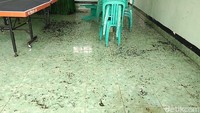 Untuk mengantisapi serangan ulat bulu yang lebih luas, warga dengan menggunakan sapu dan berbagai alat lainnya membersihkan ulat bulu yang berada di area sekitar rumah mereka.