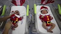 Penampilan sejumlah bayi tersebut semakin menggemaskan dengan hiasan topi berwarna merah seperti Sinterklas.