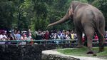 Libur Natal, Ragunan Padat Pengunjung