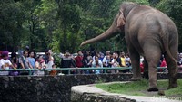 Wisatawan memadati Taman Margasatwa Ragunan.