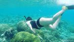 Lihatlah Pantai Banyuwangi Ini, Terbersih di Asia Tenggara!