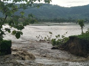 Tanggul Jebol, Air Sungai Rendam 51 Hektare Padi di Klaten