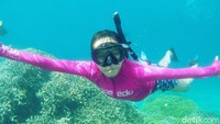 Bagi yang hobi diving maupun snorkling tak perlu jauh-jauh ke Pulau Karimunjawa. Bawah laut GWD tak kalah indah (Foto: Ardian Fanani/detikcom)
