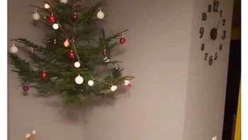 Trik terhindar dari kucing yang suka iseng narik-narik dekorasi pohon natal. Foto: via 9Gag