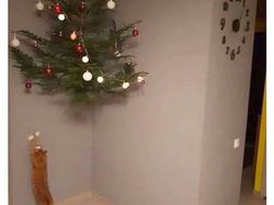 Kumpulan Pohon Natal Unik dan Cantik