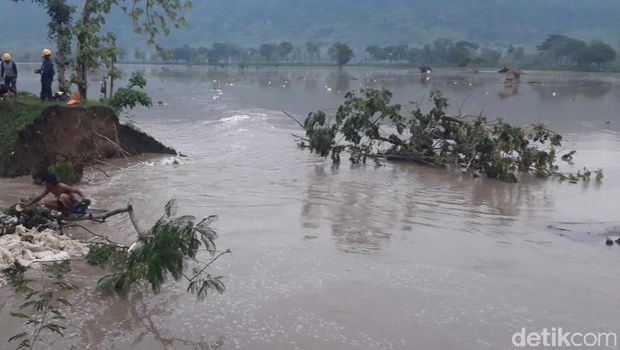Tanggul Jebol, Air Sungai Rendam 51 Hektare Padi di Klaten