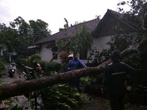 Angin Kencang dan Hujan Es Juga Terjadi di Sleman