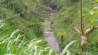 Di air terjun ini, kamu bisa menghabiskan waktu menikmati pemandangan alam yang ada, ataupun hanya sekadar berswa foto. Sejak mulai pintu masuk air terjun, hingga sampainya di lokasi air terjun, kamu disuguhkan indahnya pemandangan alam yang masih asri. (M Rofiq/detikcom) 