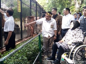 Keseruan Wali Kota Risma dan Cucunya Saat Berkunjung ke KBS