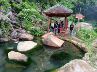 Kolam ikan Koi