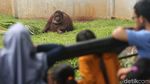 Libur Natal, Ragunan Padat Pengunjung