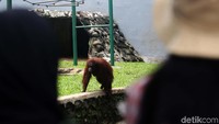 Ragunan menjadi objek wisata yang murah meriah yang banyak dikunjungi warga.