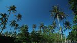 Lihatlah Pantai Banyuwangi Ini, Terbersih di Asia Tenggara!
