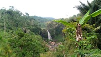 Objek wisata Air terjun Guyangan berada di Lereng Gunung Argopuro, Desa Guyangan, Kecamatan Krucil, Kabupaten Probolinggo. (M Rofiq/detikcom)
