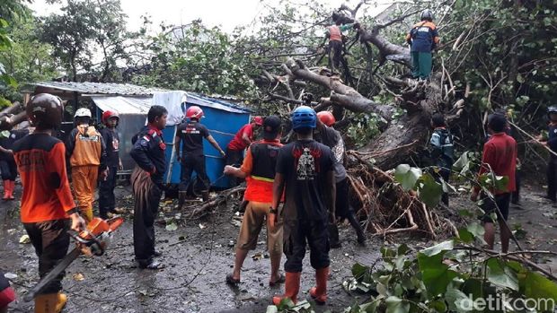 Puting Beliung di Solo, Pohon Tumbang Timpa Mobil dan Warung
