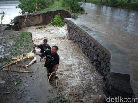 Tanggul Jebol, Air Sungai Rendam 51 Hektare Padi di Klaten