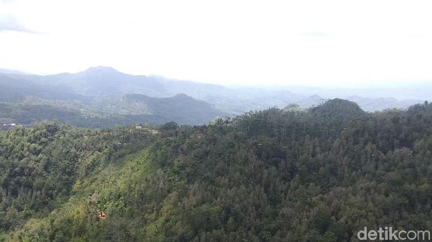 Naik, Naik, ke Puncak Widosari Samigaluh, Tinggi dan Keren Sekali