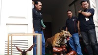 Foto: Polisi terus menelisik kasus penodongan yang dilakukan Abdul Malik di Kemang, Jakarta Selatan. Polisi kemudian melakukan penggeledahan dan menemukan sejumlah fakta lain. (Farih Maulana/detikcom)