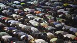 Suasana Salat Gerhana Matahari di Masjid Istiqlal