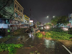 Hujan Deras dan Angin Kencang Sebabkan Banjir-Pohon Tumbang di Palembang