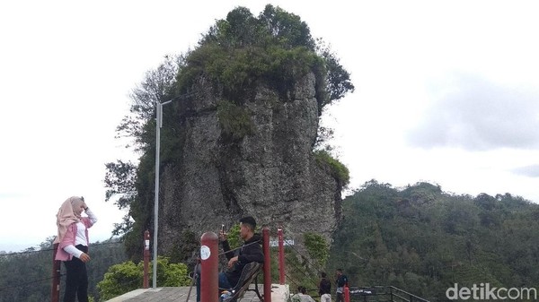Pemandangan indah di Puncak Widosari Samigaluh pasti bikin traveler tergoda mengaktifkan kamera di smartphone atau perangkat fotografi lainnya. (Foto: Eko Susanto/detikcom) (Foto: Eko Susanto/detikcom) Pemandangan indah di Puncak Widosari Samigaluh pasti bikin traveler tergoda mengaktifkan kamera di smartphone atau perangkat fotografi lainnya. (Foto: Eko Susanto/detikcom) (Foto: Eko Susanto/detikcom)