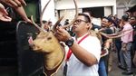 Penampakan Harimau-Rusa Offset di Rumah Koboi Lamborghini