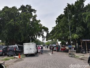 Belasan Pohon di Alun-alun Solo Tumbang, Ringin Kurung Masih Tegak