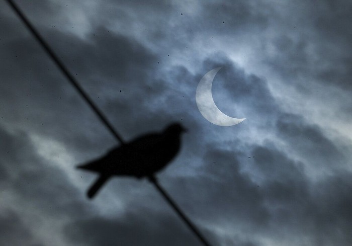 A roadside vendor holds a special filter and watches a partial solar eclipse in Hyderabad, India, Thursday, Dec. 26, 2019. (AP Photo/Mahesh Kumar A.)