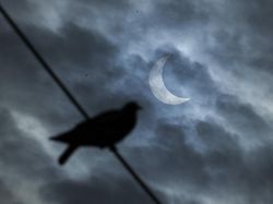 Keseruan Berburu Gerhana Matahari Cincin di Berbagai Negara