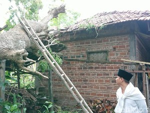 Rumah di Trenggalek yang Diacak-acak Angin Kencang Capai 50 Unit
