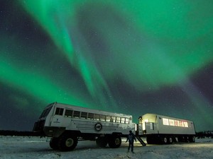 Keren Banget! Restoran Ini Tawarkan Sensasi Makan Sambil Lihat Aurora dan Beruang Kutub
