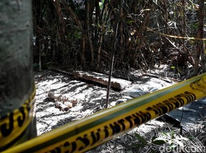 Polisi Selidiki Pelempar Jasad Ayu ke Septic Tank Tak Cuma Seorang