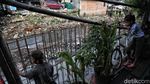 Tanggul, Bentengi Kampung Rawa Johar Baru dari Banjir