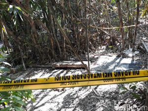 Belum Ada Petunjuk Soal Pembantu Suami Bunuh Ayu Shelisha ke Septic Tank