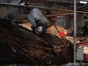 Warga Panik Saat Pohon Tumbang di Pasar Minggu Jaksel Timpa Mobil-Motor