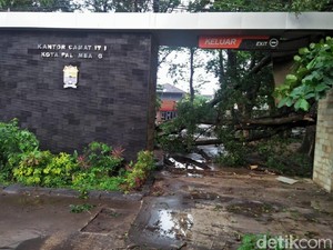 Belasan Pohon dan 1 Tower Tumbang Akibat Hujan Deras di Palembang