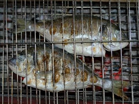 Tips ikan bakar tidak anyir