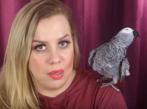 Youtuber Ini Wajahnya Dirias Oleh Burung Beo, Akhirnya Bikin Ngakak
