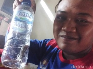 Bikin Geger! Anak Kobra Bertamu ke Studio Radio di Bantul