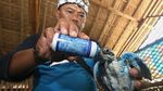 Unik! Ada Klinik Penyu di Banyuwangi