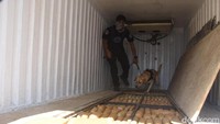 Pada awal Februari, Badan Narkotika Nasional (BNN) berhasil mengungkap peredaran gelap narkotika jenis ganja seberat 1,4 ton oleh jaringan Aceh, serta penyelundupan sabu seberat 100 kg dari jaringan Malaysia-Aceh dan jaringan Thailand. ANTARA FOTO/Indrianto Eko Suwarso.