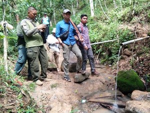 BKSDA Sumsel Temukan Banyak Jejak di Lokasi Sulis Tewas Diterkam Harimau