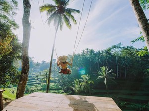 5 Objek Wisata Sekitar Capella Ubud Si Hotel Terbaik di Dunia