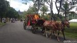 Foto: Keramaian Candi Borobudur di Akhir Tahun